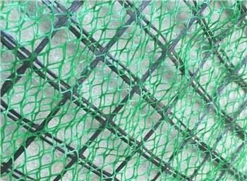 Geomat Erosion Control